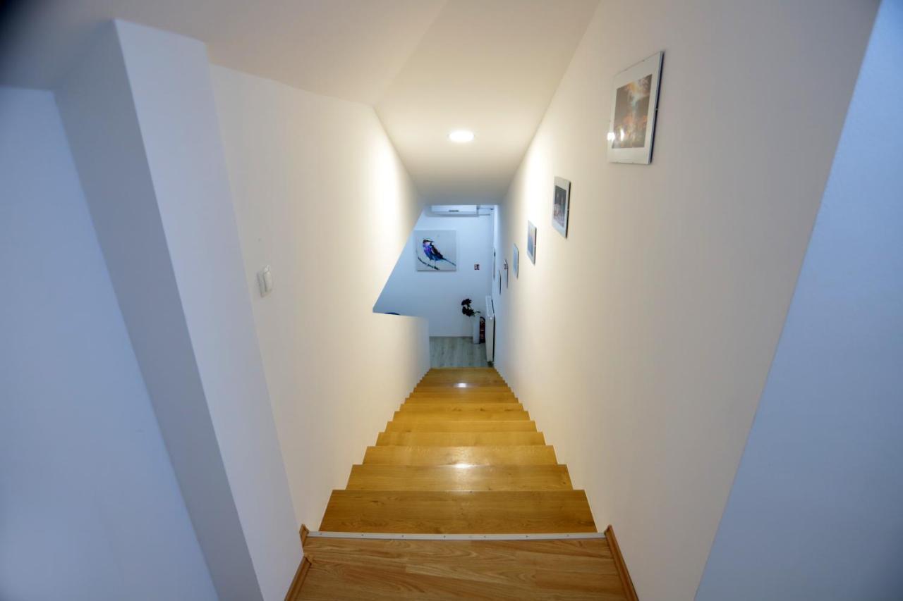 Florek & Florica Apartment Krizevci Bagian luar foto